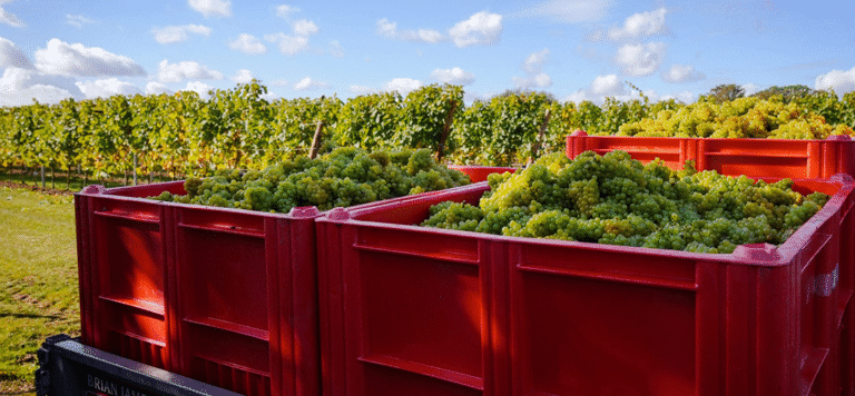 Rich reds for cooler days ahead